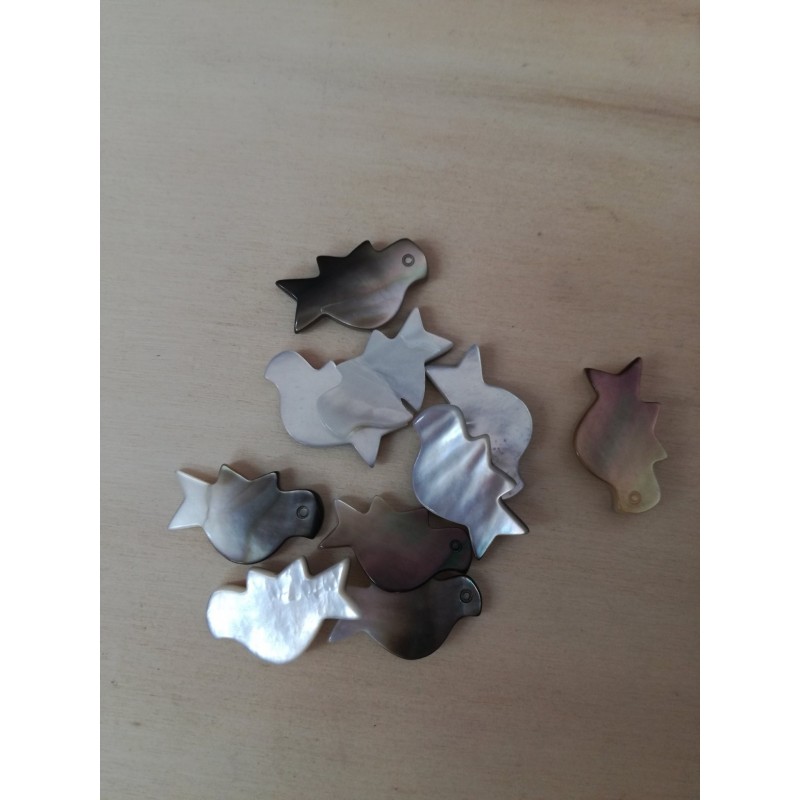 Colombe scure in madreperla